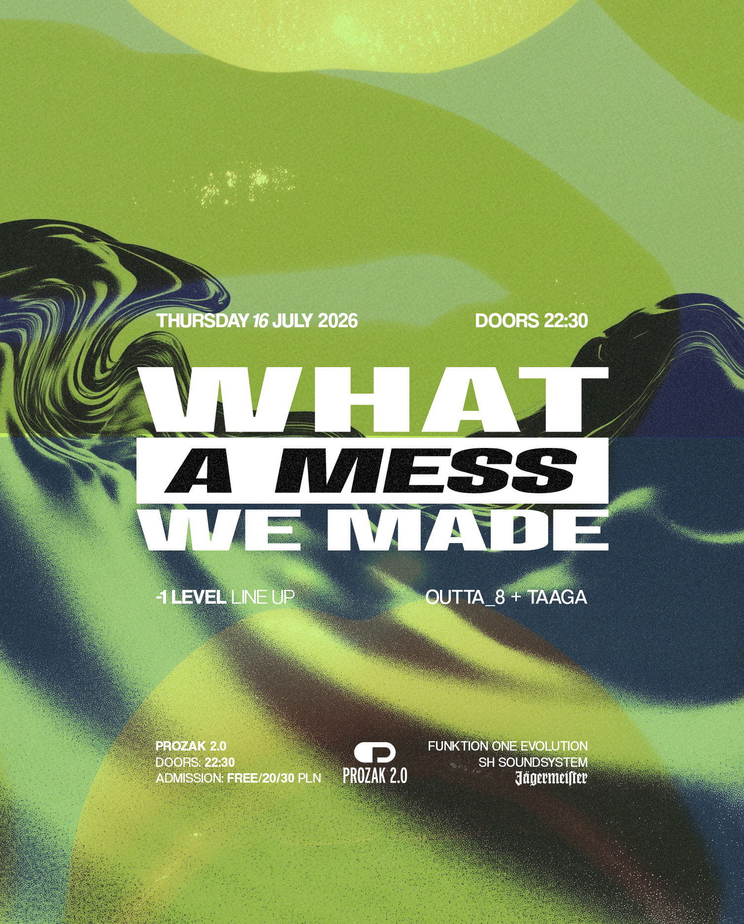 what a mess we made